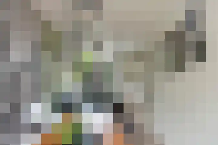 Jodocus van Lodensteinstraat 37 Utrecht thumbnail 6