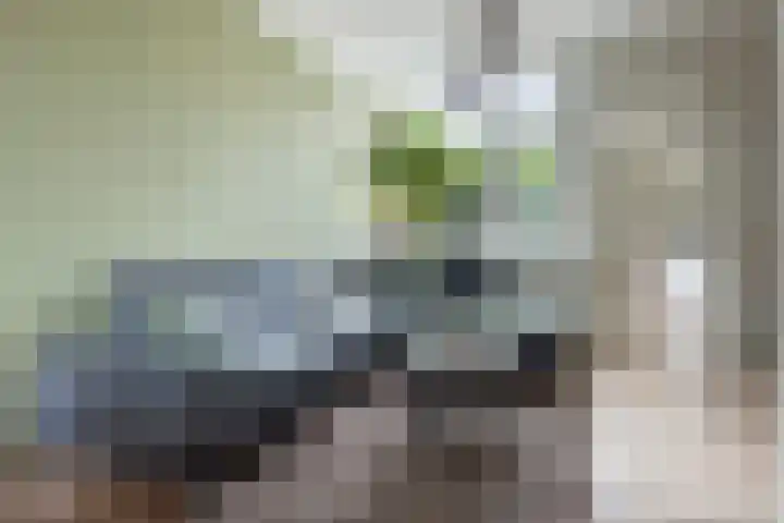 Jodocus van Lodensteinstraat 37 Utrecht thumbnail 7