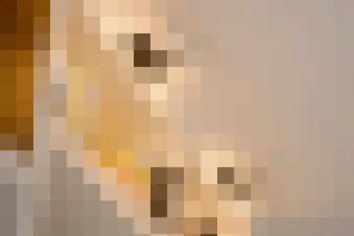 Jodocus van Lodensteinstraat 37 Utrecht thumbnail 9