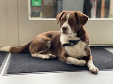 Foto von Joep Manager klanten relaties