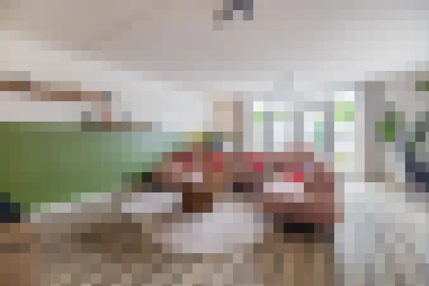 Joep Naninckstraat 3 Waalwijk thumbnail 15