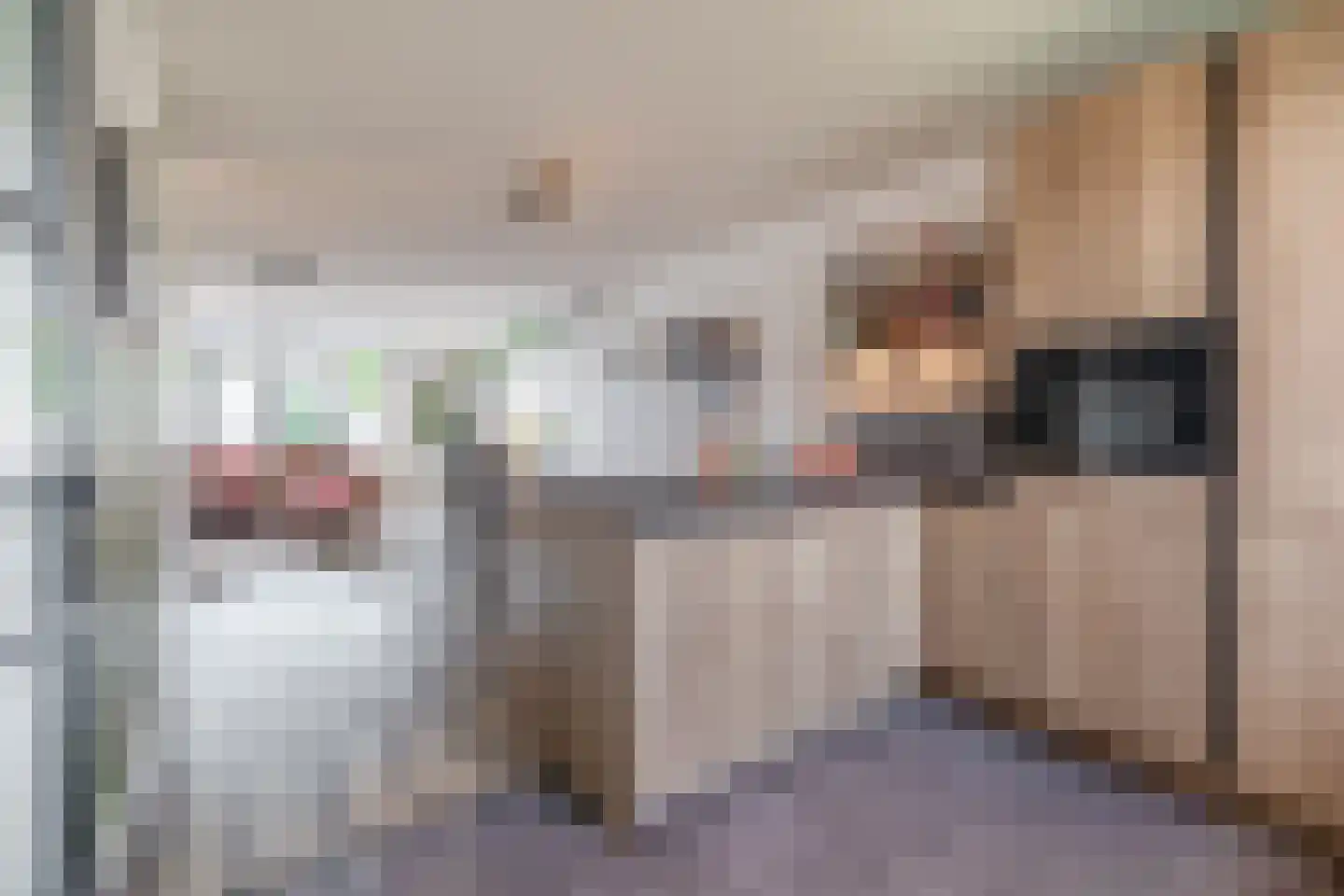 Joep Naninckstraat 3 Waalwijk thumbnail 17