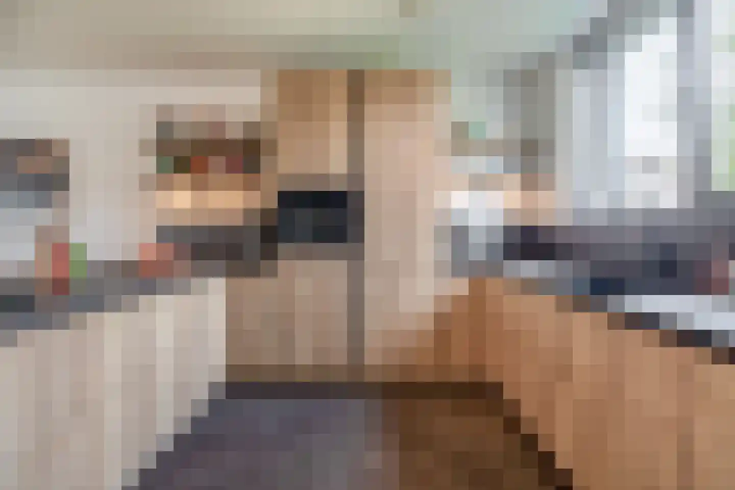 Joep Naninckstraat 3 Waalwijk thumbnail 18
