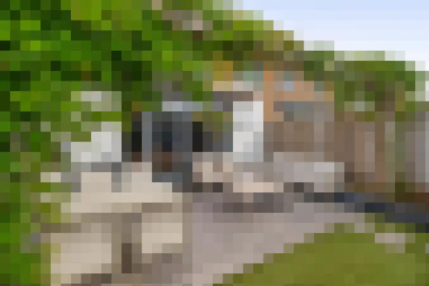 Joep Naninckstraat 3 Waalwijk thumbnail 21
