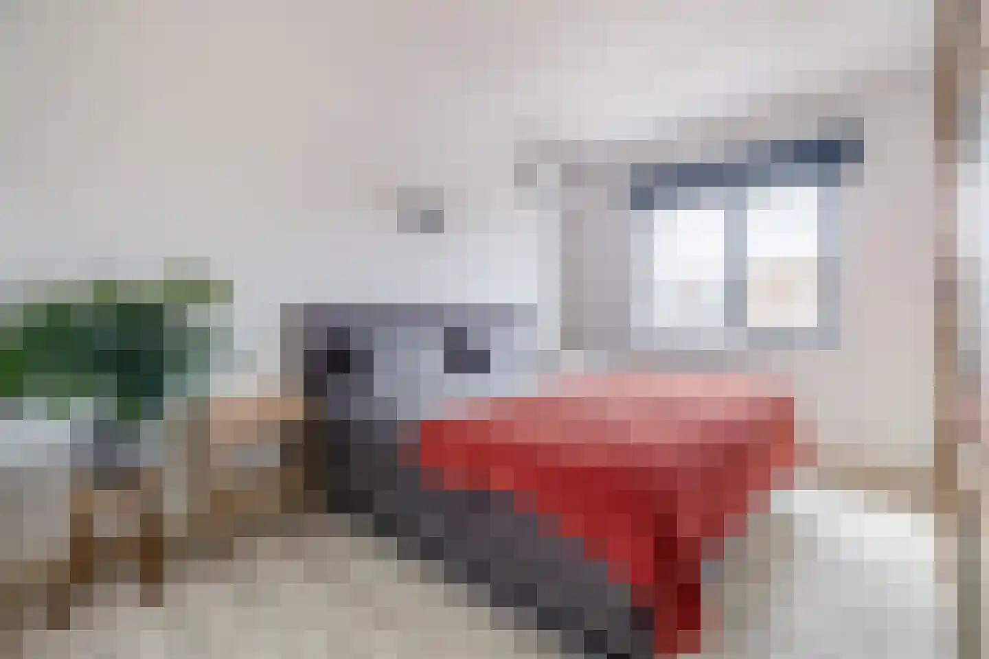 Joep Naninckstraat 3 Waalwijk thumbnail 26