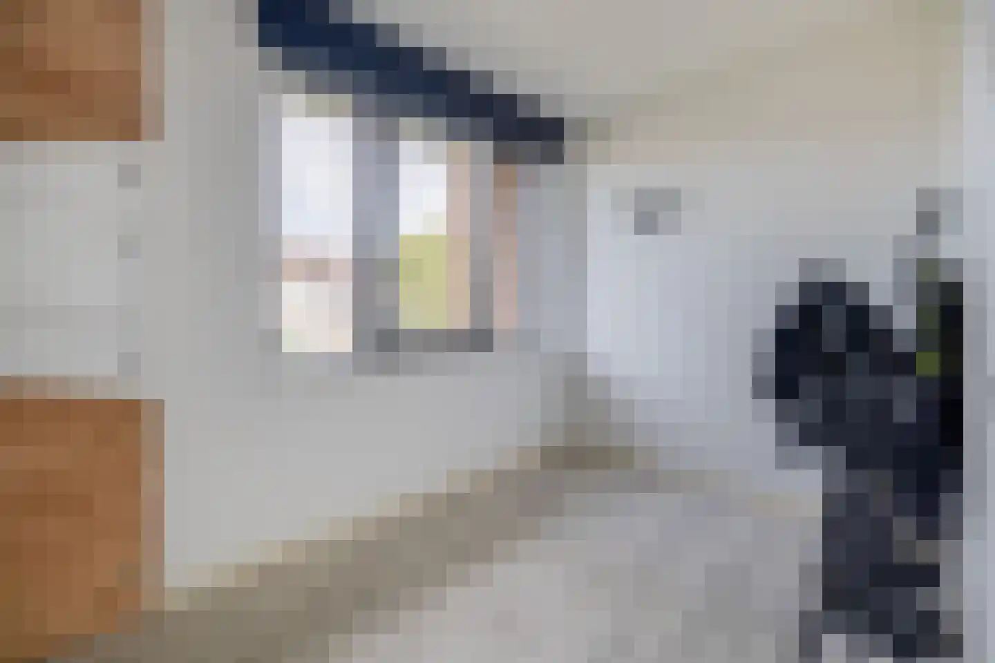 Joep Naninckstraat 3 Waalwijk thumbnail 31