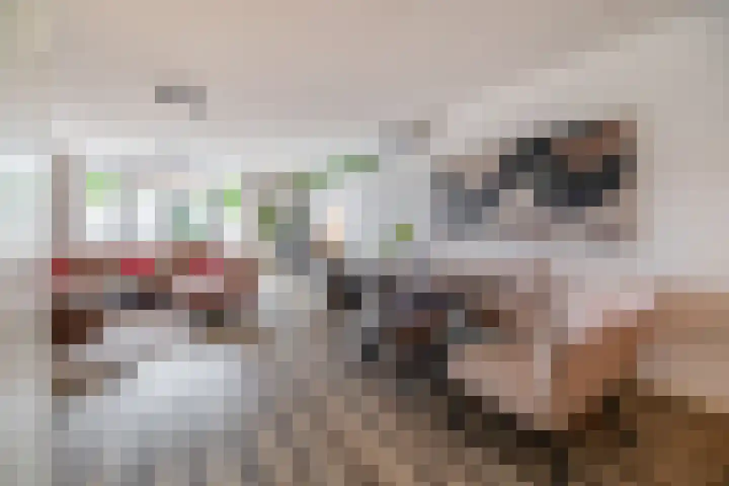 Joep Naninckstraat 3 Waalwijk thumbnail 4