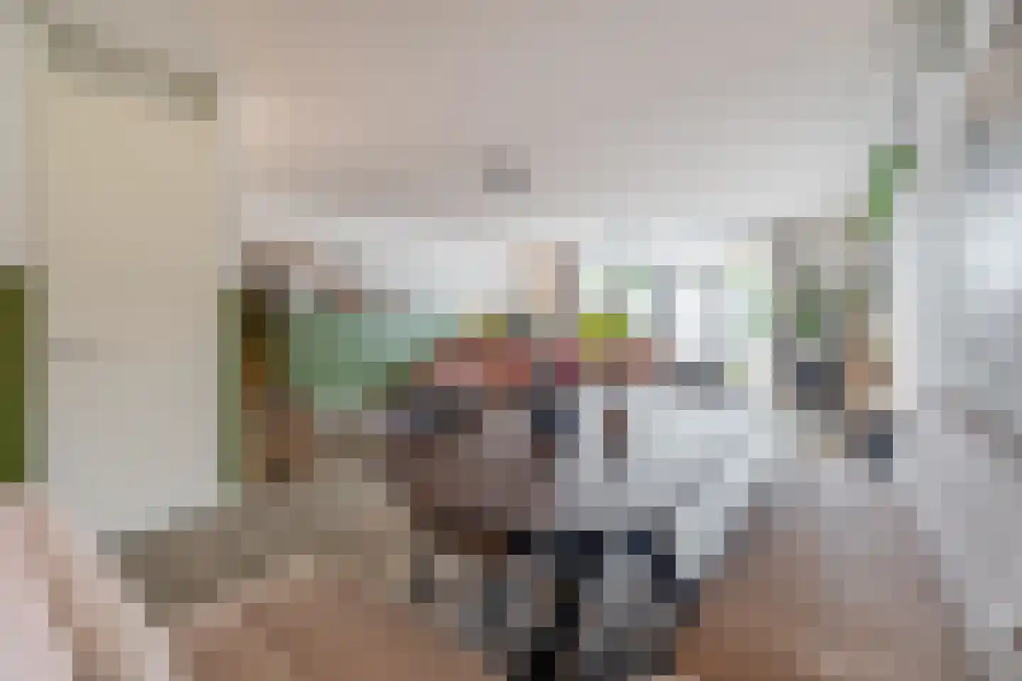 Joep Naninckstraat 3 Waalwijk thumbnail 5