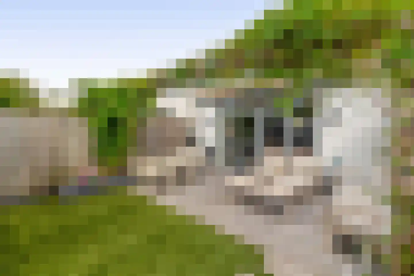 Joep Naninckstraat 3 Waalwijk thumbnail 6