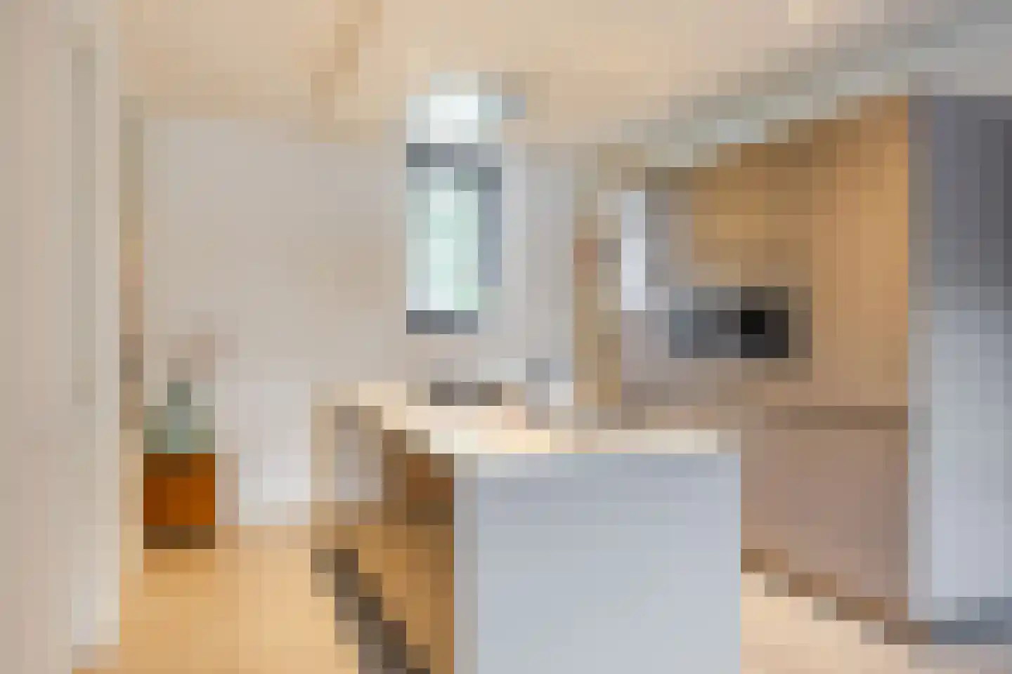 Joep Naninckstraat 9 Waalwijk thumbnail 21