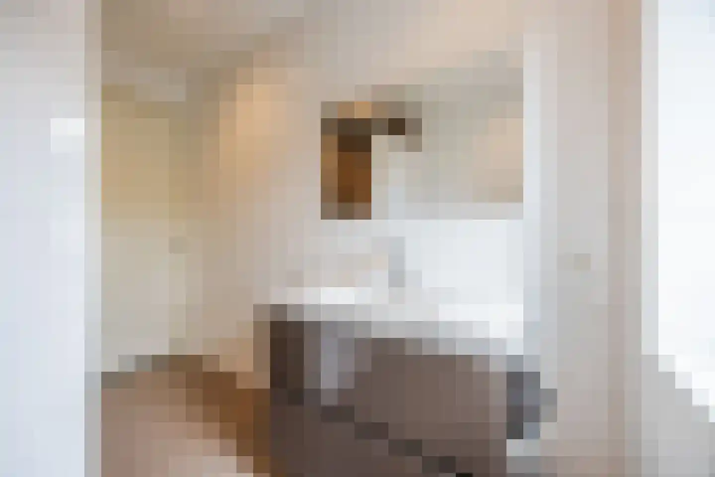 Joep Naninckstraat 9 Waalwijk thumbnail 43