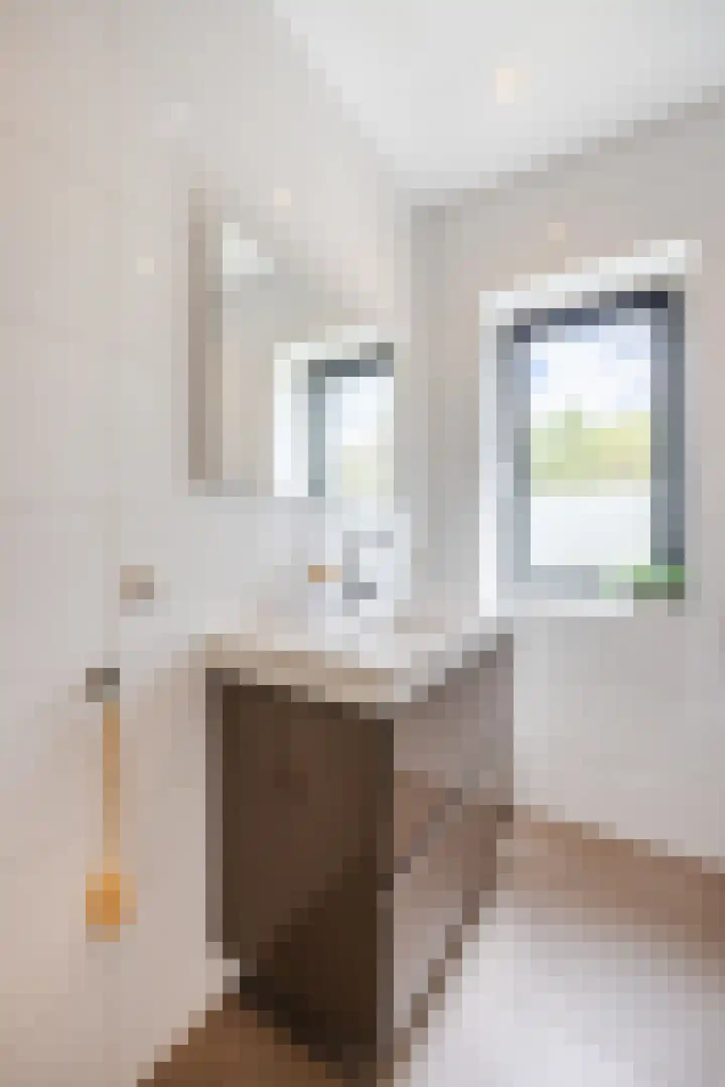 Joep Naninckstraat 9 Waalwijk thumbnail 45