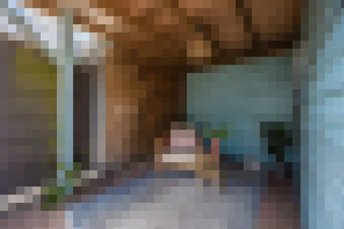 Joep Naninckstraat 9 Waalwijk thumbnail 51