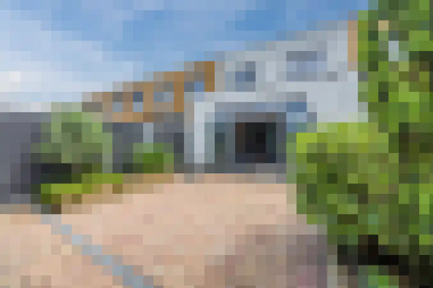 Joep Naninckstraat 9 Waalwijk thumbnail 56