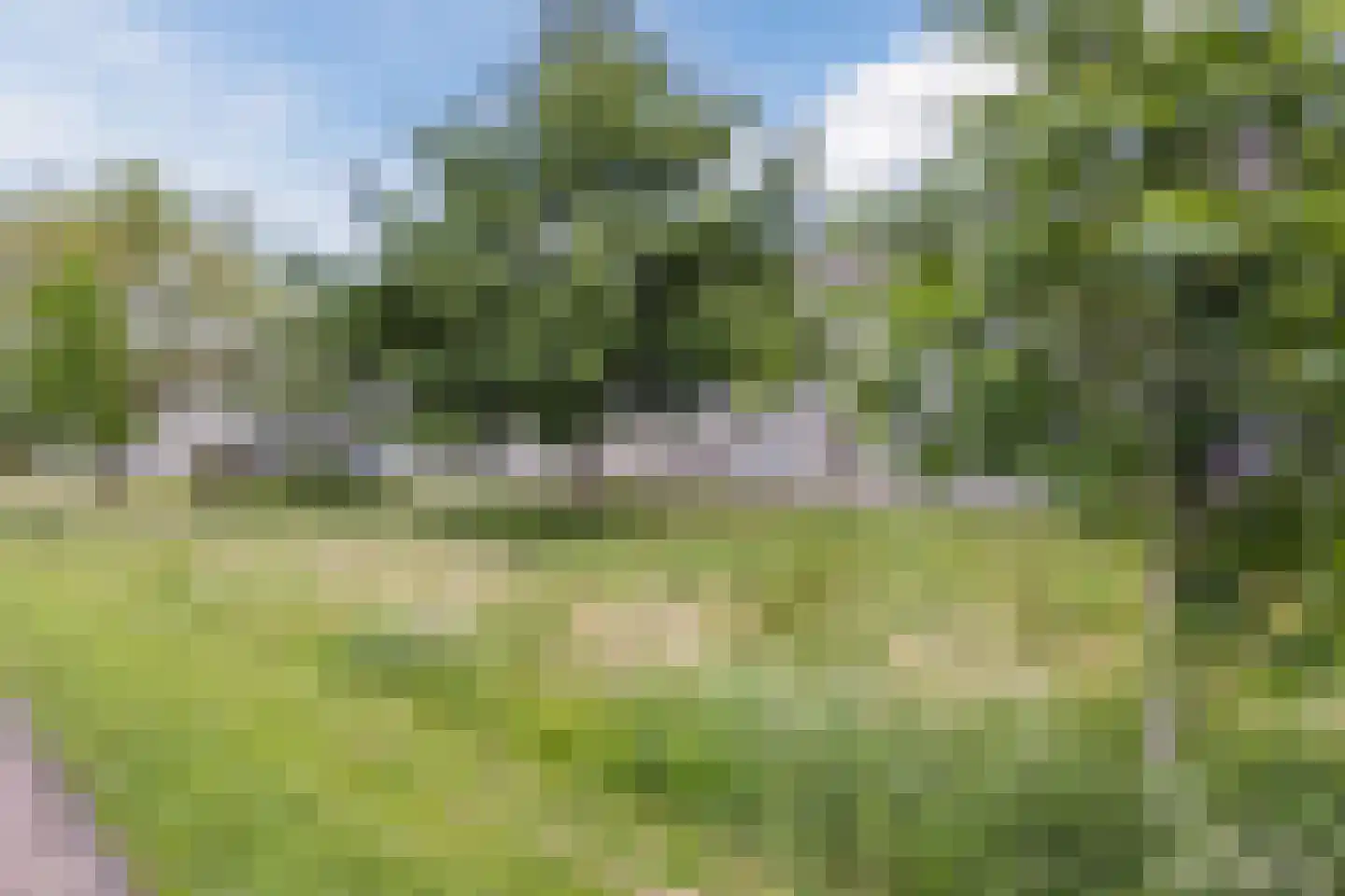 Joep Naninckstraat 9 Waalwijk thumbnail 61