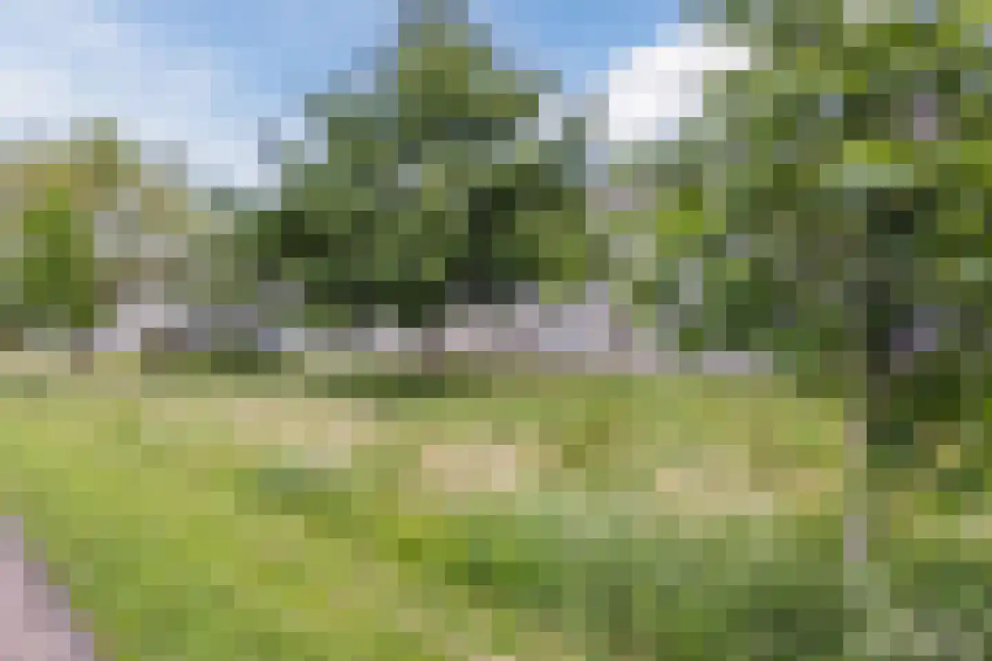 Joep Naninckstraat 9 Waalwijk thumbnail 61