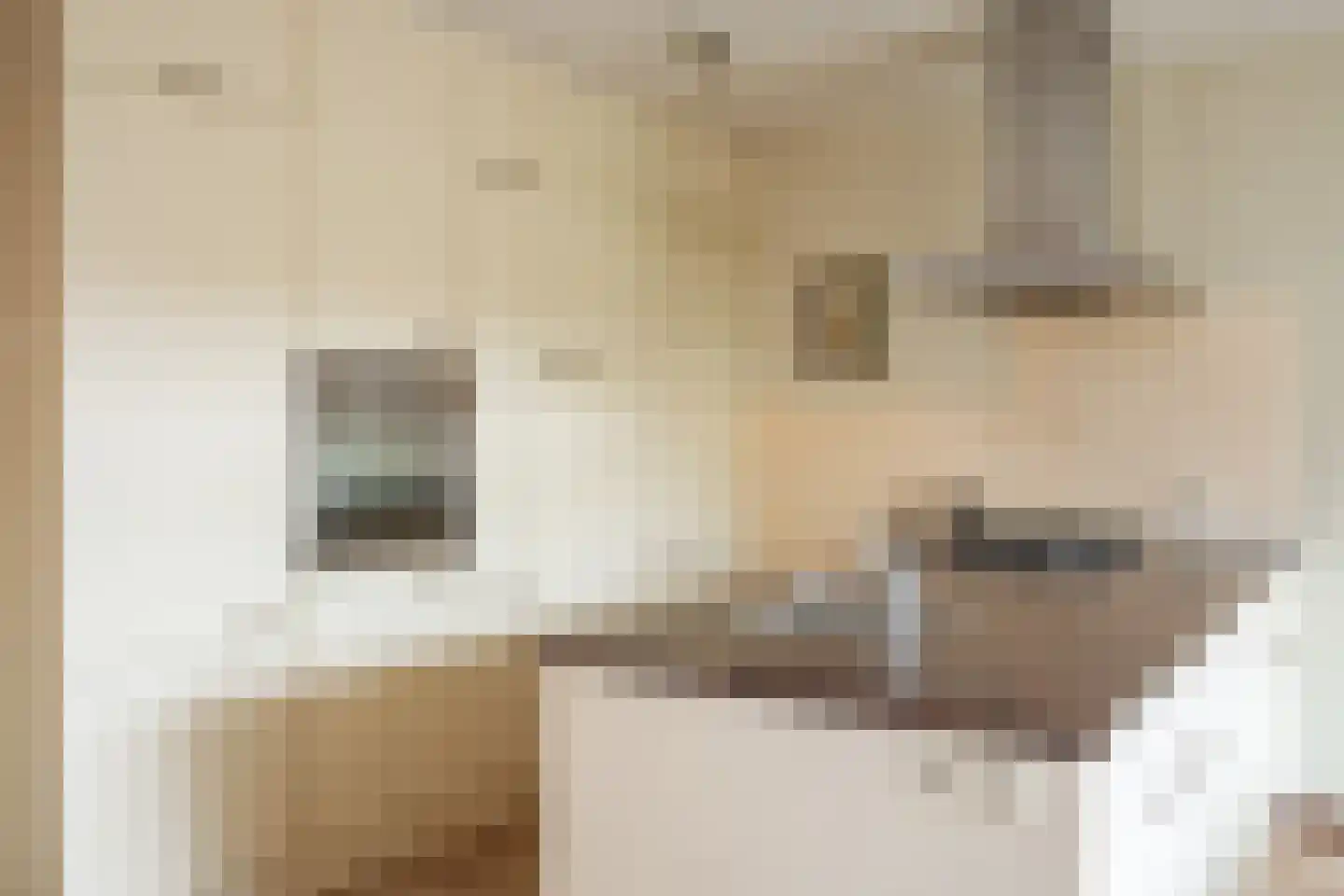 Joep Nicolasstraat 300 Roermond thumbnail 13
