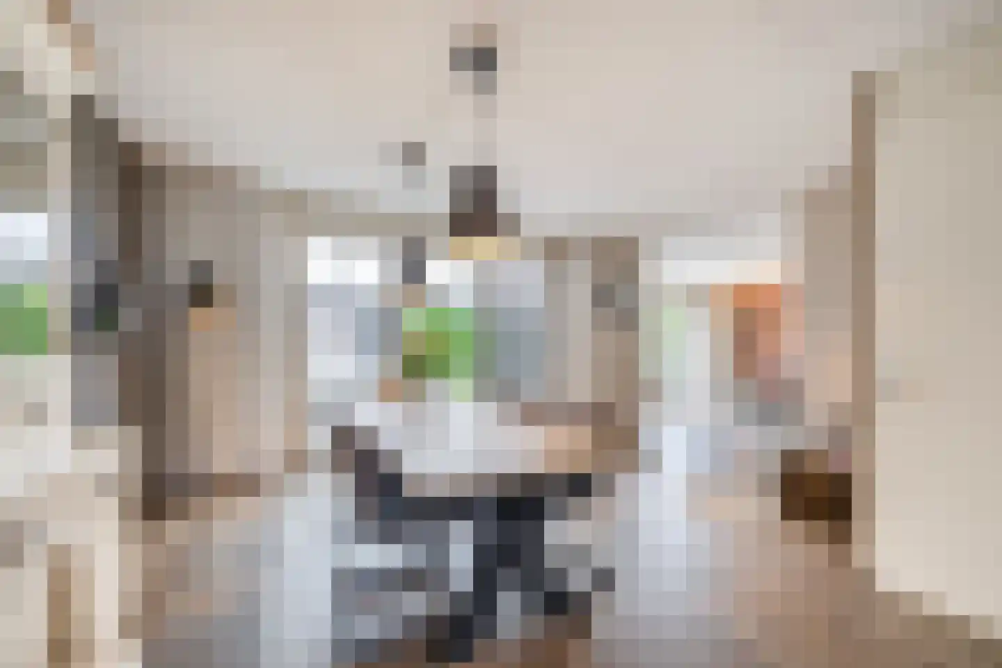 Joeppe 5 Baarlo thumbnail 10