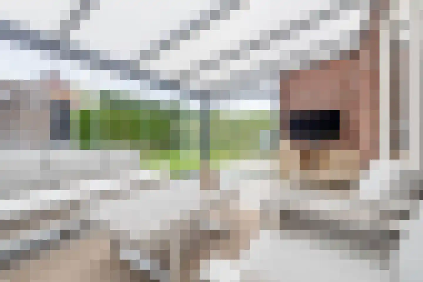 Joeppe 5 Baarlo thumbnail 14