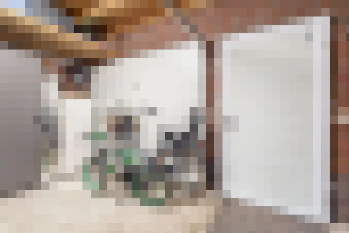 Joeppe 5 Baarlo thumbnail 16