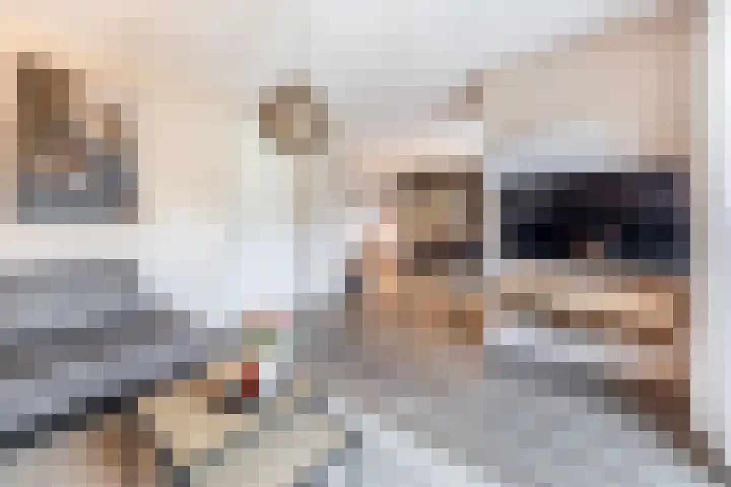 Joeppe 5 Baarlo thumbnail 8