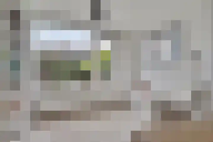 Joeri Gagarinstraat 25 Berghem thumbnail 12