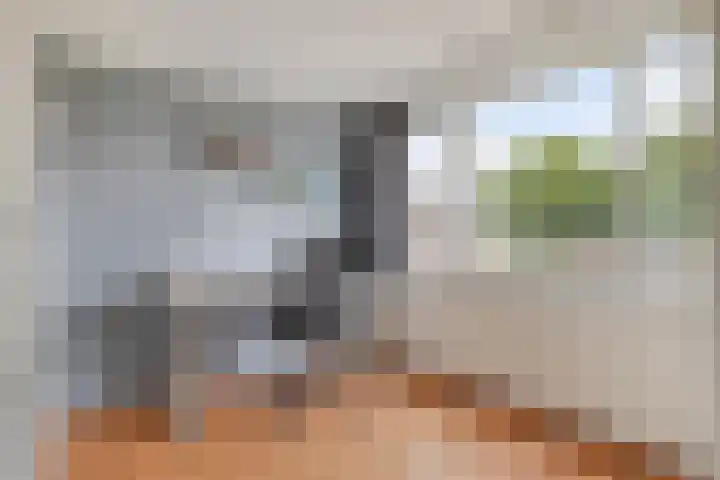 Joeri Gagarinstraat 25 Berghem thumbnail 16
