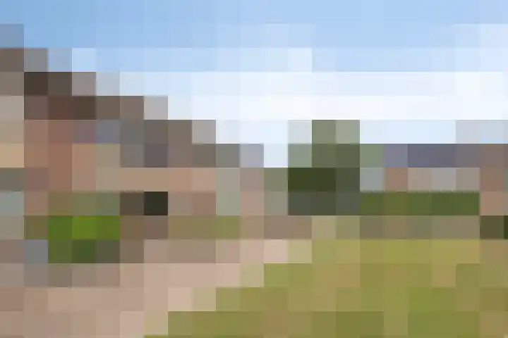 Joeri Gagarinstraat 25 Berghem thumbnail 29