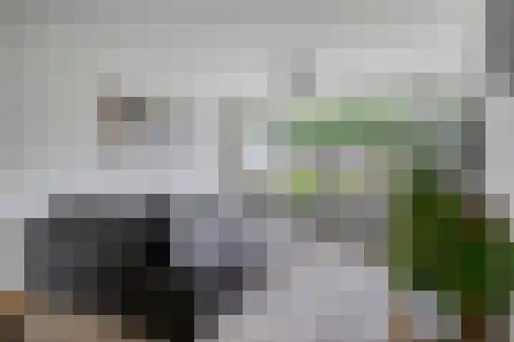 Joeri Gagarinstraat 25 Berghem thumbnail 5