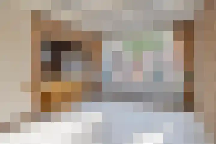Joeri Gagarinstraat 61 Berghem thumbnail 12