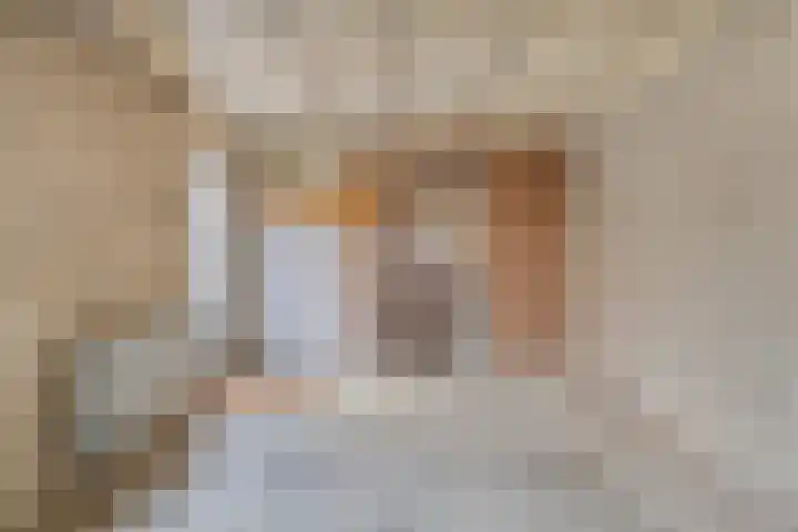 Joeri Gagarinstraat 61 Berghem thumbnail 30