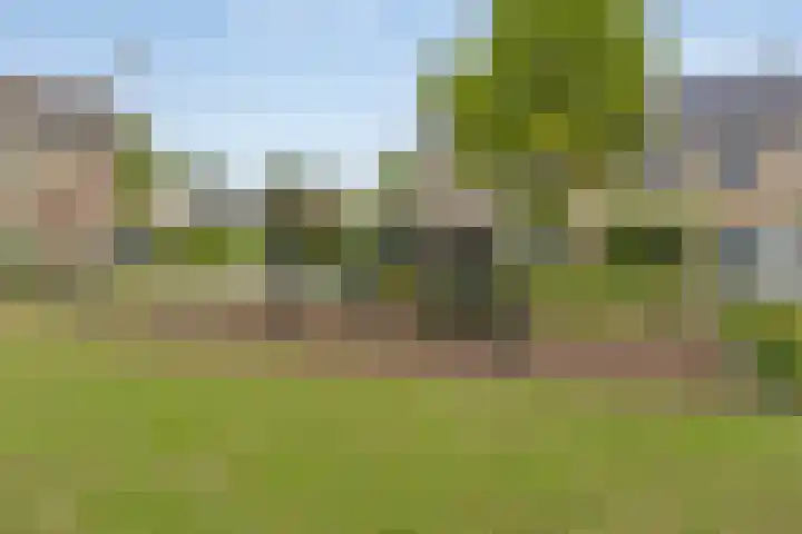Joeri Gagarinstraat 61 Berghem thumbnail 32