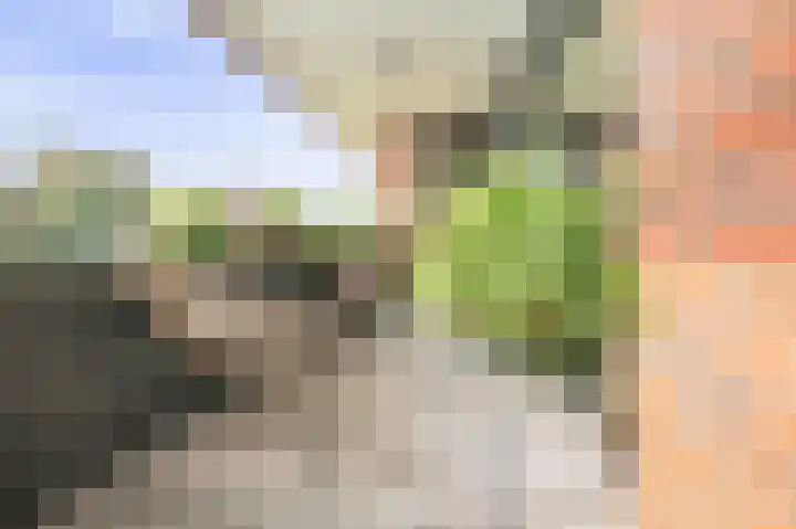 Joes Kloppenburghof 32 Badhoevedorp thumbnail 25