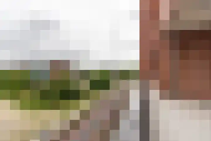 Joes Kloppenburghof 50 Badhoevedorp thumbnail 21