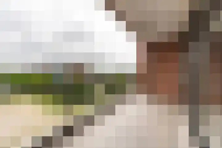 Joes Kloppenburghof 50 Badhoevedorp thumbnail 22