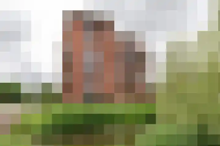 Joes Kloppenburghof 50 Badhoevedorp thumbnail 26