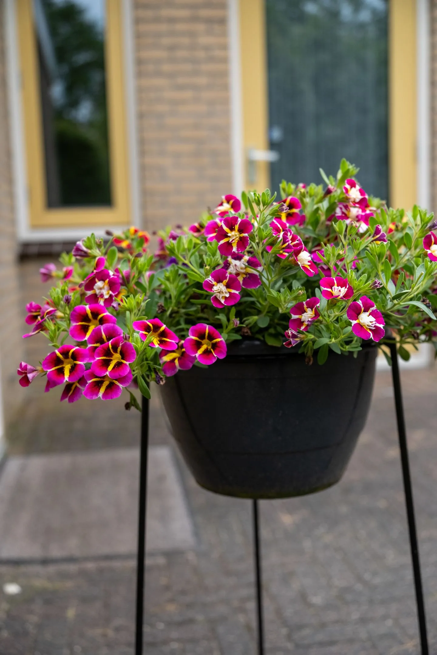 Joest Lewelaan 6 Peize thumbnail 44