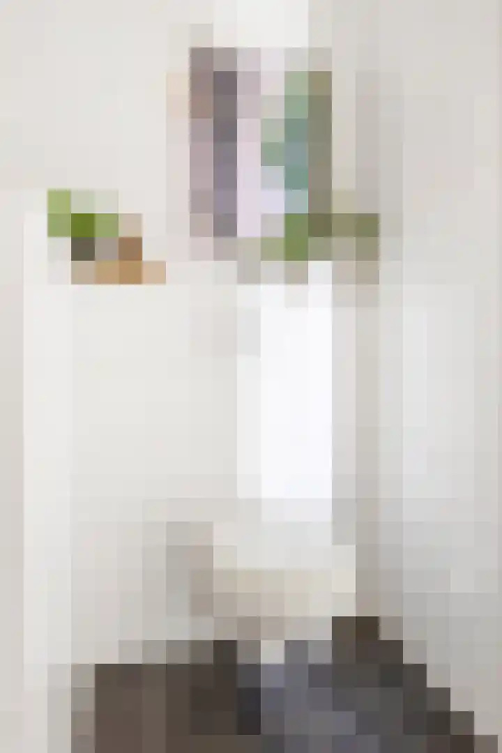 Joeswerd 105 Groningen thumbnail 32