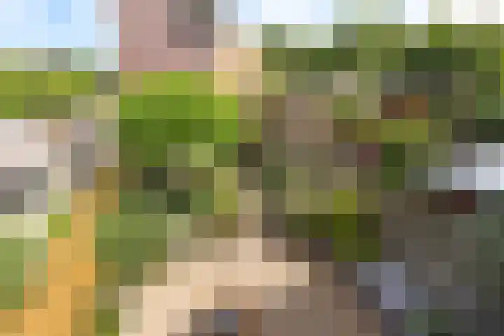 Joeswerd 105 Groningen thumbnail 33
