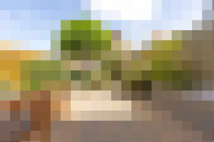 Joeswerd 105 Groningen thumbnail 35