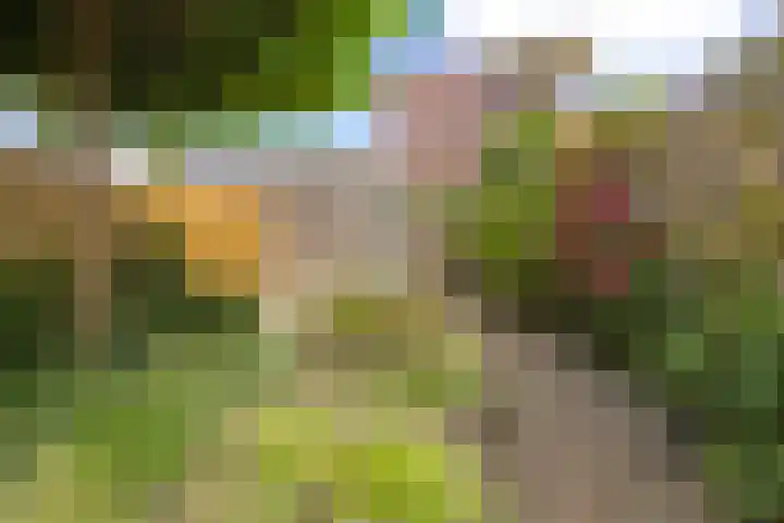 Joeswerd 105 Groningen thumbnail 37