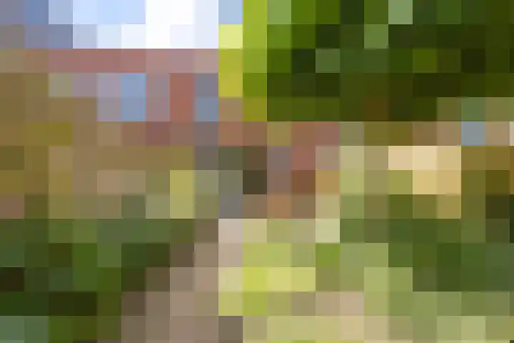 Joeswerd 105 Groningen thumbnail 4