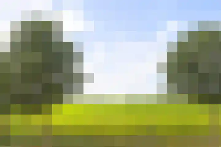 Joeswerd 105 Groningen thumbnail 41