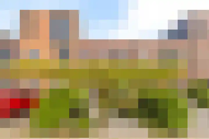 Joeswerd 105 Groningen thumbnail 6