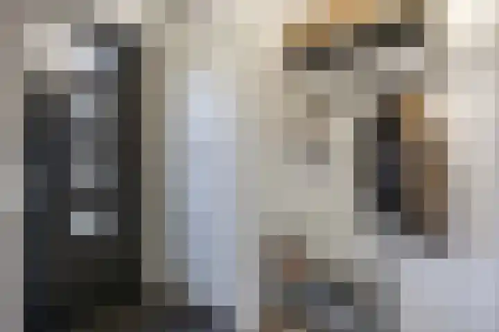 Joeswerd 107 Groningen thumbnail 15