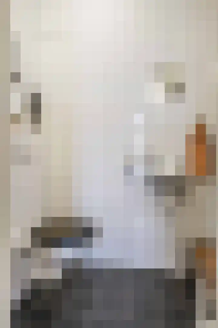 Joeswerd 107 Groningen thumbnail 16