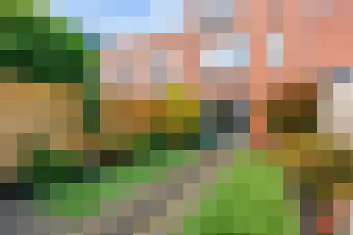 Joeswerd 107 Groningen thumbnail 39