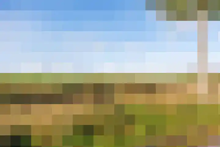 Joeswerd 107 Groningen thumbnail 40