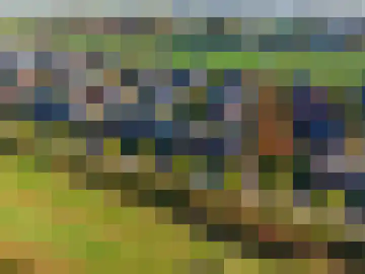 Joeswerd 107 Groningen thumbnail 42