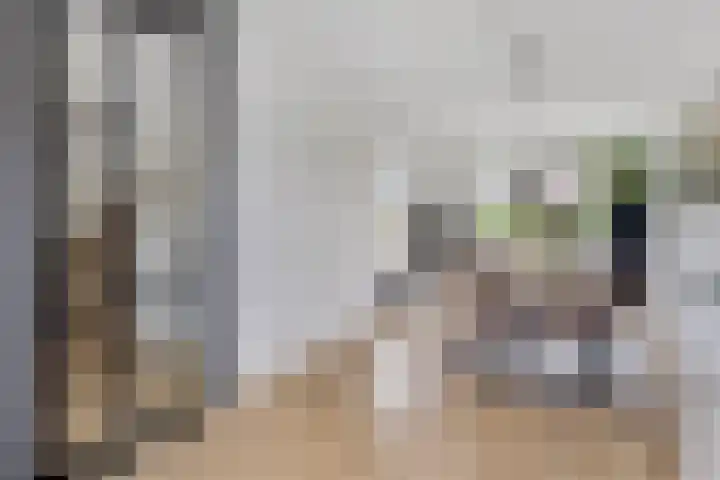 Joeswerd 157 Groningen thumbnail 13